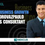 Unlock Business Growth with Pedrovazpaulo Business Consultant