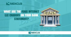 What Are the Fenix Internet LLC Charges on Your Bank Statement